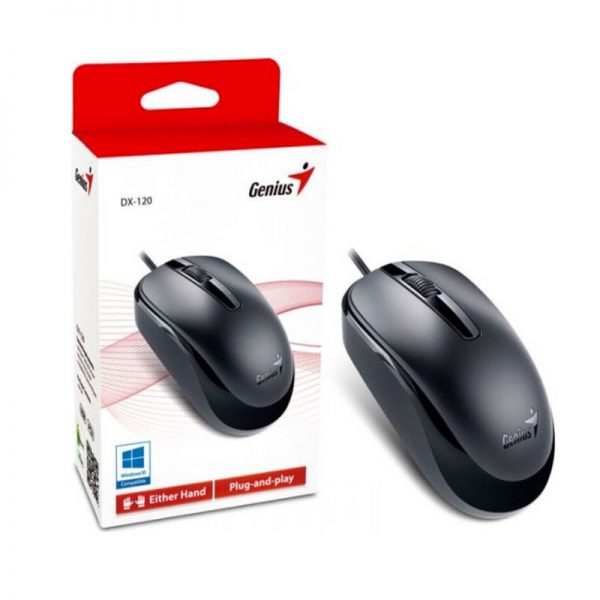 Genius Mouse DX-120 USB G5 Negro